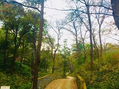 -南京老山国家森林公园