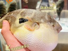 -肆月河豚·新淮扬菜·烤鸭(中关村店)
