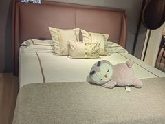 -居然之家(黑龙江南路店)