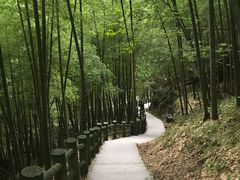 -藏龙百瀑风景区