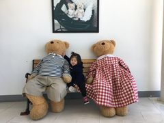 -济州岛泰迪熊博物馆