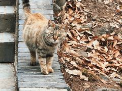 -红螺寺