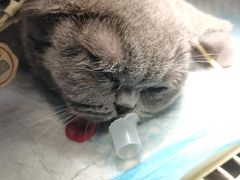 -爱诺耐芙动物医院(万博店)