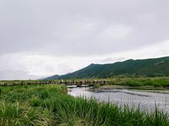 -泸沽湖国家级风景名胜区走婚桥