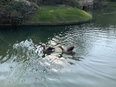 门面-杭州西子湖四季酒店·金沙厅