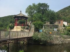-双新垂钓园