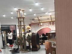 -喵园·猫主题咖啡厅·撸猫·猫咖(国贸店)