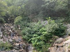 -洛阳白云山景区