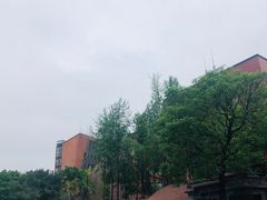 -梯坎豆花
