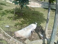 -哈尔滨北方森林动物园