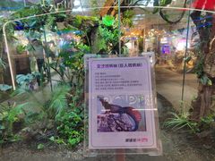 -西单明珠商场