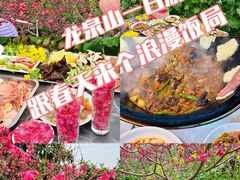 -桃源山庄·水蜜桃采摘·柴火鸡·烧烤团建(龙泉山店)