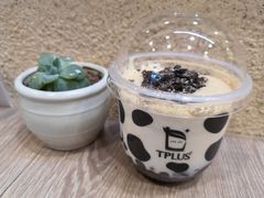 -TPLUS茶家(浦电路店)