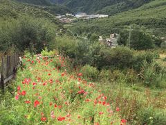 -甘孜康定机场