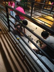 点击看大图 -酷嗒动物文化乐园(cutezoo西溪乐天城店)