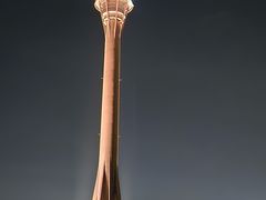 -澳门环岛游湾仔码头