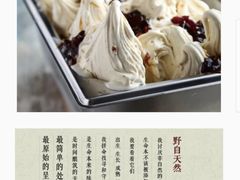 -野人先生现做冰淇淋(北京顺义祥云小镇店)