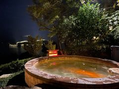 -天目湖涵田半山温泉