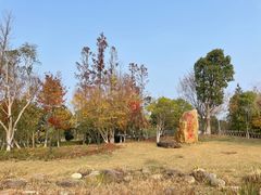 -上海长兴岛郊野公园