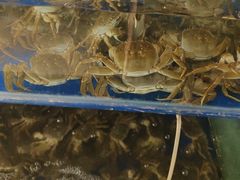 -阳澄湖大闸蟹·琼灵阁牌品牌连锁(吴中总店)