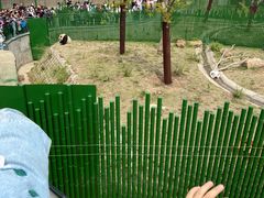 -沈阳森林动物园