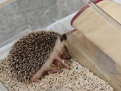 -上海长风大悦城