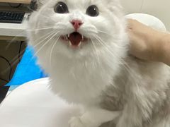 -美联众合爱康动物医院•复杂内科•肿瘤科•牙科•腔镜诊疗中心
