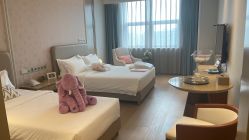 -杭州医学院附属妇儿医院