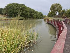 -江滩湿地公园