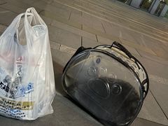 -萌兽医馆·眼科·异宠专科(三里屯店)