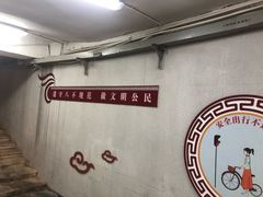 -演武大桥观景平台