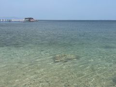 -养马岛旅游度假区