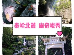 -陕西省红河谷森林公园