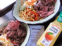 -奥兰多迪士尼动物王国乐园