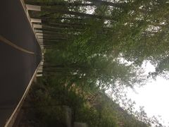 iphone_upload_pic-乌龙峡谷景区