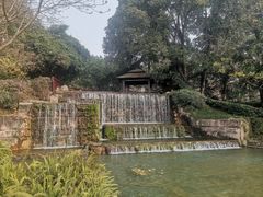 -成飞公园