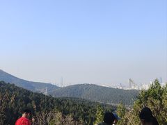 -佛慧山