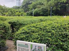 -九龙公园