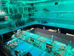 水产区-JUKEBOX玖部音乐餐厅(华侨城店)