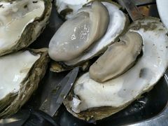 原只蒸生蚝-蚝得喜海鲜(东城店)