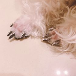 -Adore nail日式美甲美睫