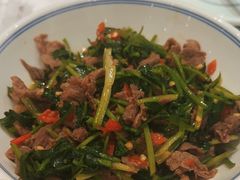 -壹盏灯(惠农店)