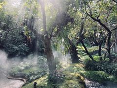 -Chom Cafe and Restaurant