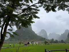 -明仕田园