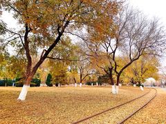 -永定河休闲森林公园