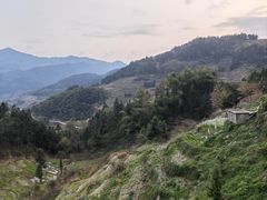 -紫鹊界梯田景区