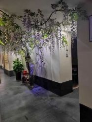 -盘子女人坊古装写真摄影(深圳店)