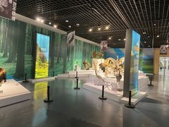 -中国湿地博物馆