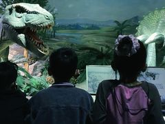 -国家自然博物馆