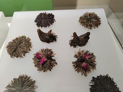 -中国茶叶博物馆(双峰馆区)